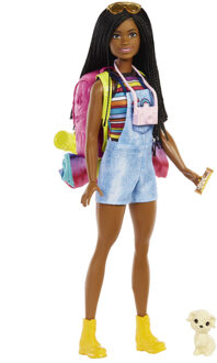 Mattel Pop Barbie Brooklyn Camping Multikleur