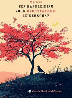 Matteüs -  Gerda Hoekveld-Meijer (ISBN: 9789465284989)