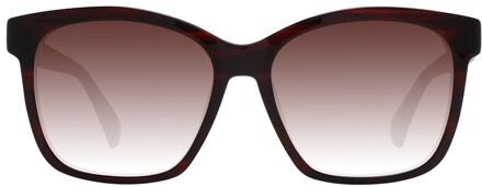 Max Mara Mm1434s Havana Zonnebril Donker Bruin