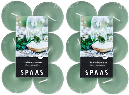 Maxi Geurtheelichtjes/waxinelichtjes - 24x - Minty Hammam - 10 branduren