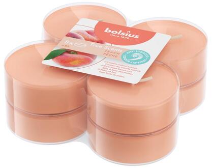 Maxilichten Clear Cup True Scents Peach 8uur Pak A 8 Stuks oranje