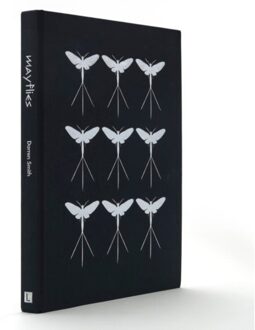 Mayflies - Darren Smith