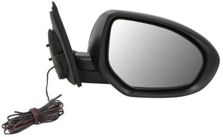 Mazda Buitenspiegel 540214050360P