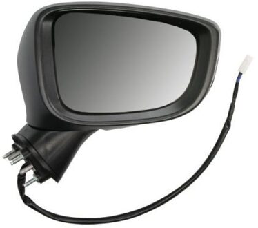 Mazda Buitenspiegel 5402140741313P