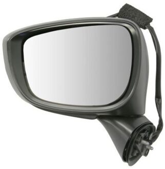 Mazda Buitenspiegel 5402141905312P