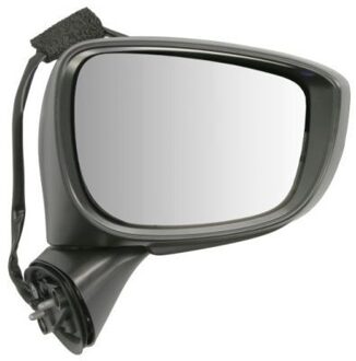 Mazda Buitenspiegel 5402141905313P