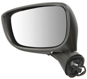 Mazda Buitenspiegel 5402141905316P