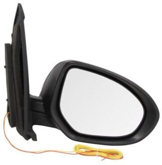 Mazda Buitenspiegel 5402142001678P