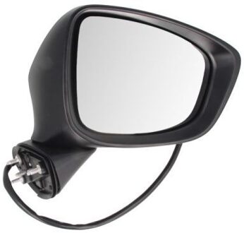 Mazda Buitenspiegel 5402142001724P