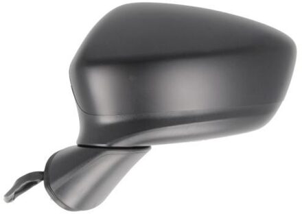Mazda Buitenspiegel 5402142001733P