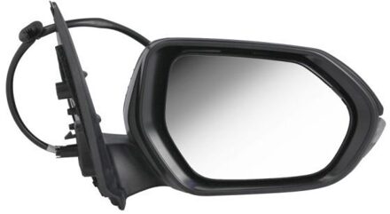 Mazda Buitenspiegel 5402192392313P