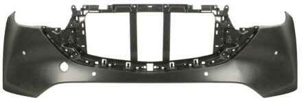 Mazda Bumper 5510003496909P