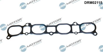 Mazda Pakking, inlaatspruitstuk DRM02115