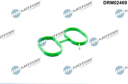 Mazda Pakking, inlaatspruitstuk DRM02469