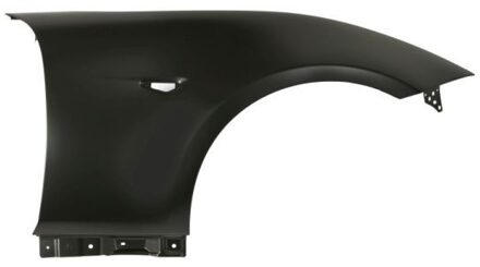 Mazda Spatbord 6504043458312P