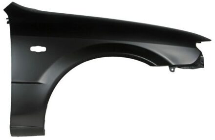 Mazda Spatbord 6504043475316P