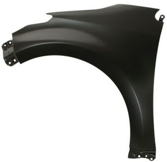 Mazda Spatbord 6504048158311P