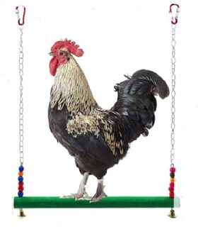 Medium En Grote Papegaai Swing Voor Suspension Bridge Ladder Kip Swing Bite Vogel Speelgoed Papegaai Speelgoed C