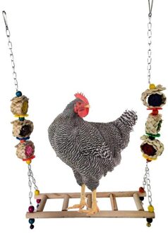 Medium En Grote Papegaai Swing Voor Suspension Bridge Ladder Kip Swing Bite Vogel Speelgoed Papegaai Speelgoed