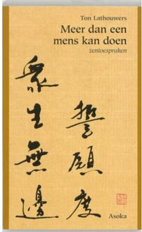 Meer dan een mens kan doen - Boek Ton Lathouwers (9056700235)