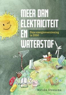 Meer Dan Elektriciteit En Waterstof - Metske Steensma