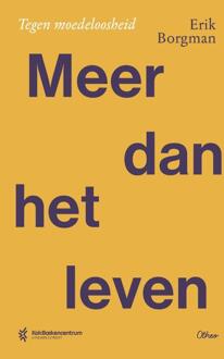 Meer dan het leven -  E Borgman (ISBN: 9789043542753)