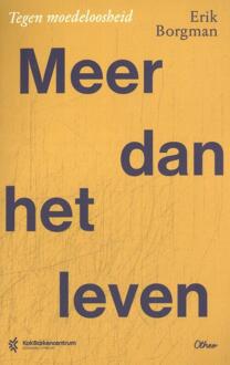 Meer dan het leven -  Erik Borgman (ISBN: 9789085287643)