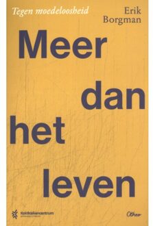 Meer Dan Het Leven - Erik Borgman