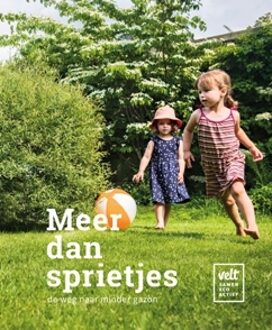 Meer Dan Sprietjes - (ISBN:9789492907011)