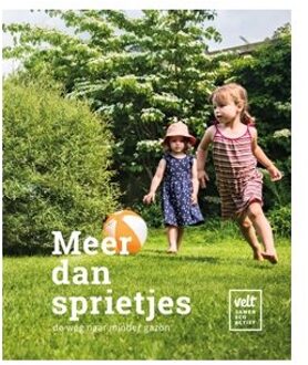 Meer Dan Sprietjes - (ISBN:9789492907011)