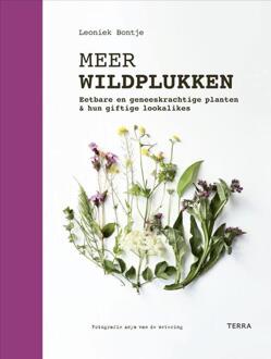 Meer wildplukken -  Leoniek Bontje (ISBN: 9789401496803)