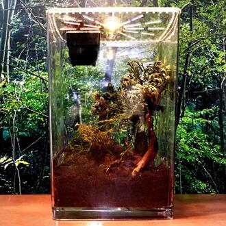 Meerdere Doeleinden Reptile Kweekbak Voeden Dozen Helder Acryl Reptiel Terrarium Voerbox Voor Gekko Spiders