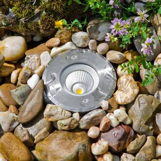 Meerkat, rond, 60°, roestvrij staal, 6W, 3.000 K