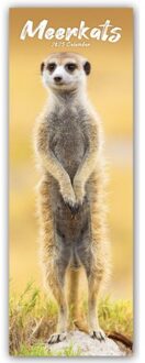Meerkats Slim Calendar 2025 Cute Slimline Calendar - 12 Month - Slimline-Kalender (Browntrout) - Avonside Publishing Ltd