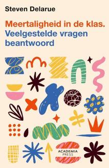Meertaligheid in de klas -  Steven Delarue (ISBN: 9789020962109)