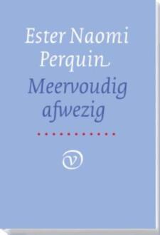 Meervoudig afwezig - Boek Ester Naomi Perquin (902826163X)