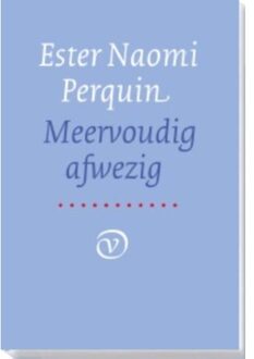 Meervoudig afwezig - Boek Ester Naomi Perquin (902826163X)