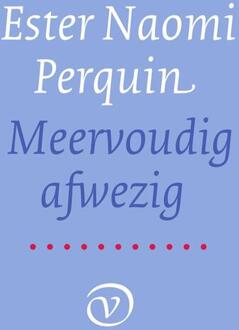 Meervoudig afwezig - eBook Ester Naomi Perquin (9028280693)