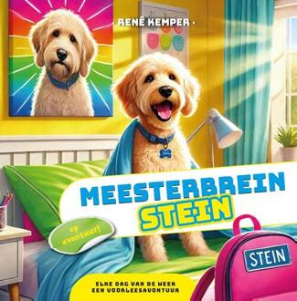 Meesterbrein Stein -  René Kemper (ISBN: 9789493407565)