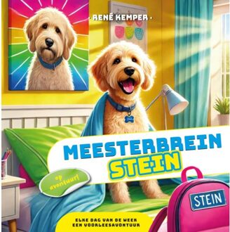 Meesterbrein Stein - René Kemper