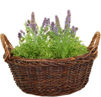 Mega Collections aardappelmand/plantenmand - Santa Fe - met handgreep - rotan - B35 x H15 cm