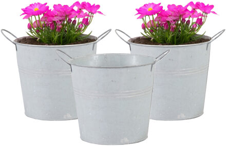 Mega Collections Emmer/plantenpot - 3x - zink - lichtgrijs - D14 x H12 cm - Emmers