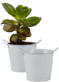Mega Collections Emmer/plantenpot/bloempot - 2x - zink - whitewash - D18 x H16 cm