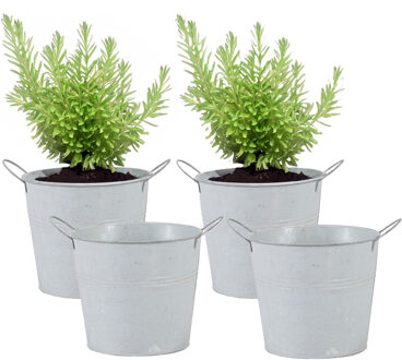 Mega Collections Emmer/plantenpot/bloempot - 4x - zink - whitewash - D16 x H14 cm