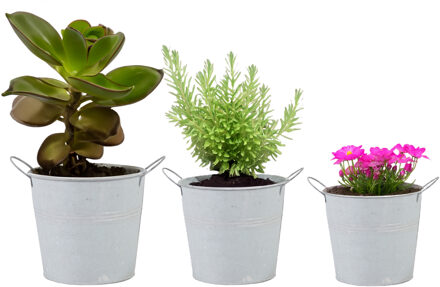 Mega Collections Emmer/plantenpot/bloempot - set van 3x stuks - zink - whitewash