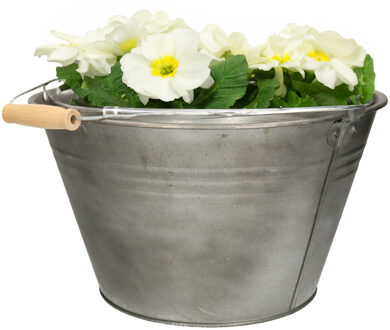 Mega Collections Emmer/plantenpot/bloempot - zink - -D32 x H18 cm - IJzeren emmer / teil Zilverkleurig