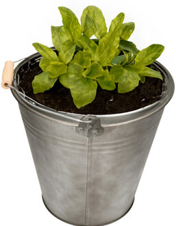 Mega Collections Emmer/plantenpot/bloempot - zink - donkergrijs - D28 x H27 cm