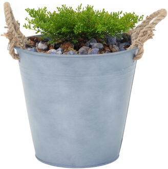 Mega Collections Mega Collections emmer/plantenpot Old Rope - zink - zilver - D28 X H27 cm - IJzeren emmer / teil Zilverkleurig