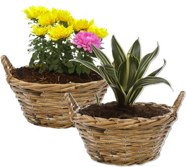 Mega Collections Planten/bloemen mand Cuba - 2x - rotan - lichtbruin - D25 x H11 cm - plantenpot voor buiten
