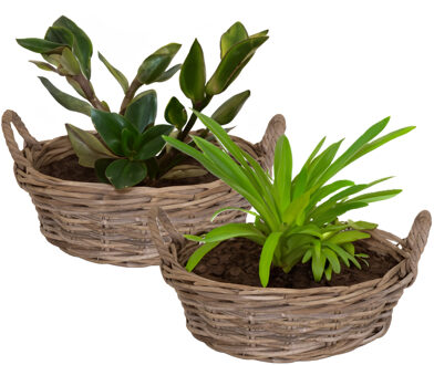 Mega Collections Planten/bloemen mand Levi - 2x - rotan - laag model - D30 x H13 cm - plantenpot voor buiten